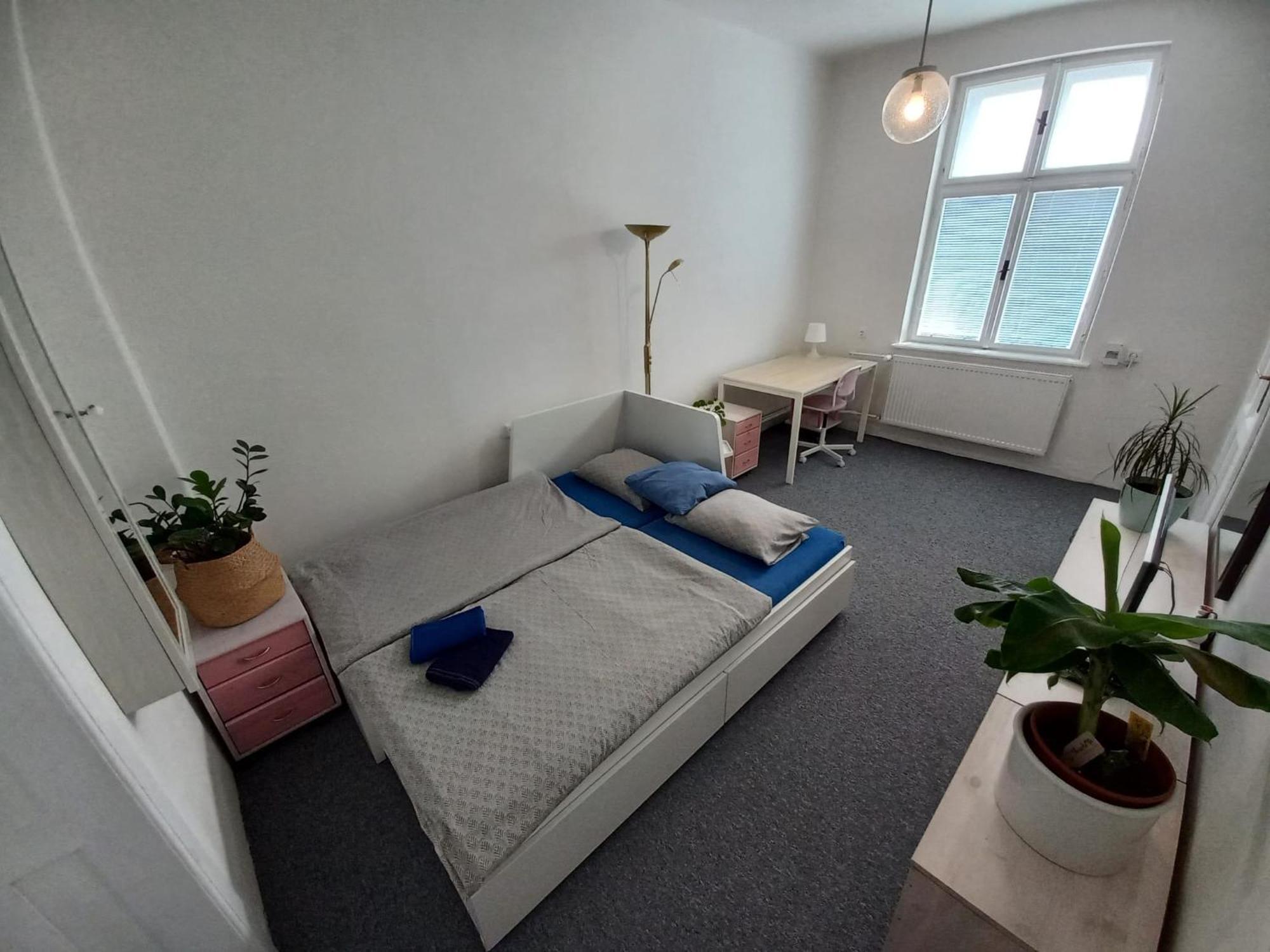 Lp 1926 Aneb U Nas Doma Apartment *